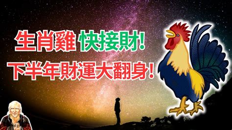 屬雞今年運勢|2024 年屬雞星座運勢：非常積極的一年